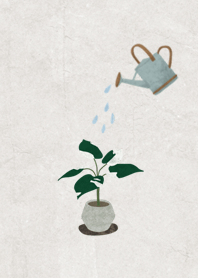 Foliage Plants, Houseplant