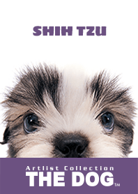 THE DOG シー•ズー 2