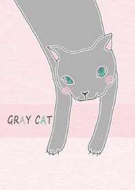 グレー色の猫