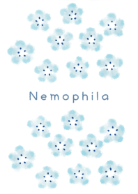 -Nemophila-