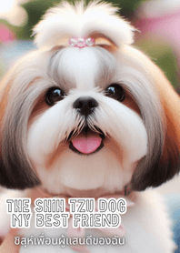Shih Tzu dog my best friend