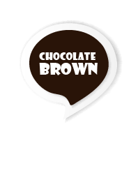 Chocolate Brown Button In White V.3