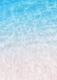 TropicalBeach Photo5 Not AI
