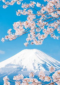 運気UP☆美しい桜と富士山