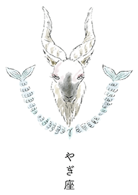 STARRY SKY -- Capricorn