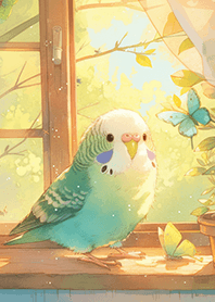 ✨溫馨可愛の虎皮鸚鵡❤️