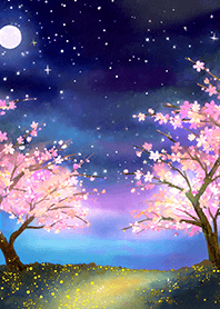 Beautiful night cherry blossoms#533