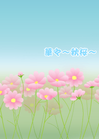 Flowers -cosmos-