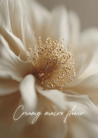 My Creamy macro flower-br3