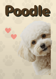 ธีมพุดเดิ้ลทอย Beige 05