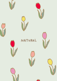 lots of tulips11 from Japan