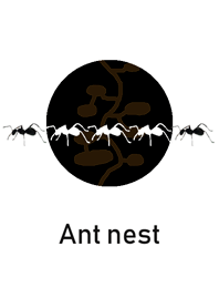 개미 둥지 세계2