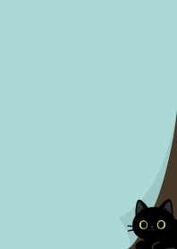 แมวดำตัวน้อยในมุมห้อง4