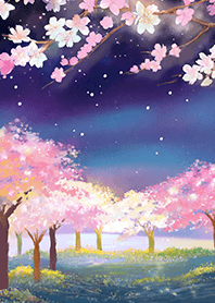 Beautiful night cherry blossoms#1202