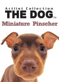 THE DOG ミニチュア • ピンシャー