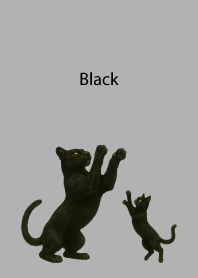 Black Pair04 on white