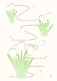 White Tulip (Beige V.4)