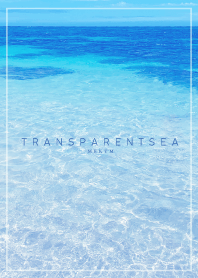 TRANSPARENT SEA 15
