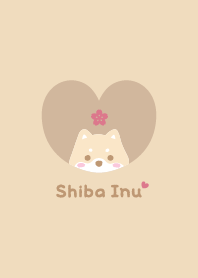 Shiba Inu2 Cherry blossoms / yellow