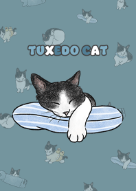 tuxedocat4 / teal