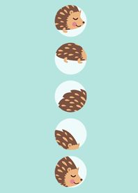 局部放大的刺蝟