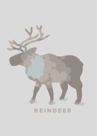 reindeer winter