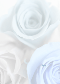 バラのきせかえ46