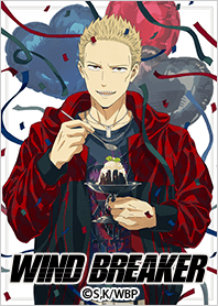 TVアニメ「WIND BREAKER」Vol.29