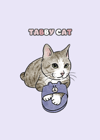 tabbycat6 / light purple