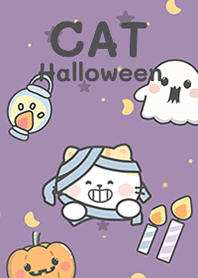 Cat on Halloween day!