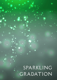 SPARKLING GRADATION THEME /25