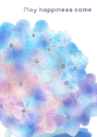 Hydrangea - - nonohana