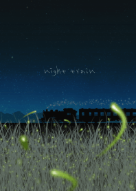 Summer night train