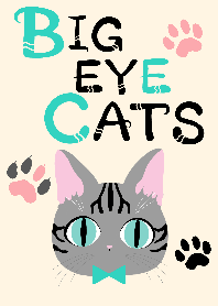BIG EYE CATS
