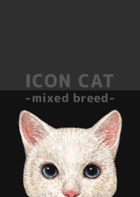 ICON CAT - Mixed breed cat - BLACK/12