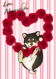Valentine love Mameshiba dog