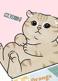 neko single19 / pink