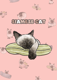 siamesecats4 - light coral