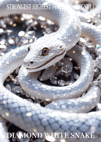 Diamond and white snake 39