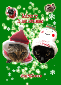 san&coco Merry Christmas !!