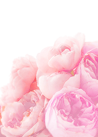 【flower】pink