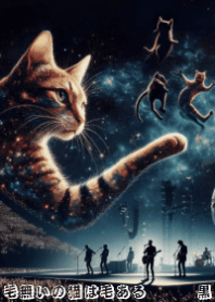 ニャーのライブ①_黒☆毛無いの猫は毛ある
