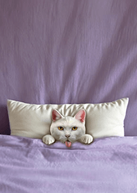 楽しいキルト猫 - 白猫 1.4