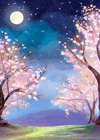 Beautiful night cherry blossoms#1925