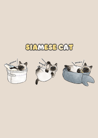 siamesecats5 / almond
