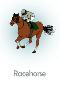 Enjoy horse racing!!3Modified version