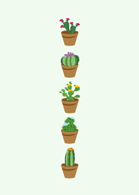 サボテン美しい鉢植え