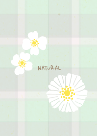 Check Pretty white flowers14