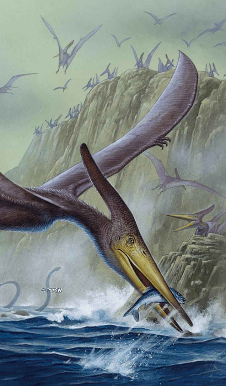 Dinosaur Pterosaur