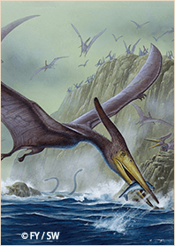 Dinosaur Pterosaur